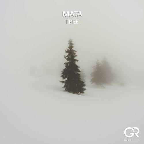 Mata - Tree [GALL054]